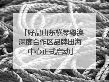 好品山东横琴粤澳深度合作区品牌出海中心正式启动