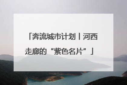 奔流城市计划丨河西走廊的“紫色名片”