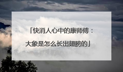 快消人心中的康师傅：大象是怎么长出翅膀的