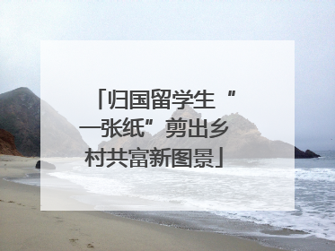 归国留学生“一张纸”剪出乡村共富新图景