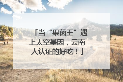 当“果菌王”遇上太空基因，云南人认证的好吃！