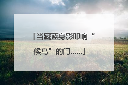 当藏蓝身影叩响“候鸟”的门……