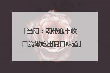 当阳：藕带迎丰收 一口脆嫩吃出夏日味道