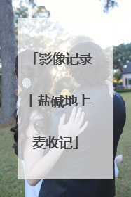 影像记录丨盐碱地上麦收记