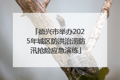 德兴市举办2025年城区防洪治涝防汛抢险应急演练