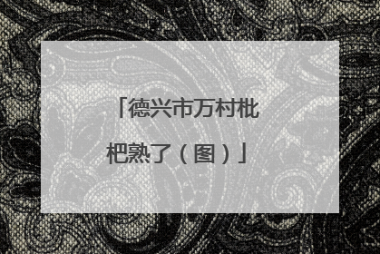 德兴市万村枇杷熟了（图）