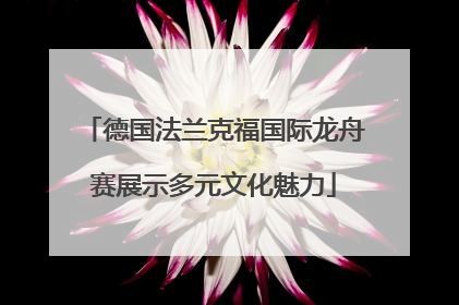德国法兰克福国际龙舟赛展示多元文化魅力
