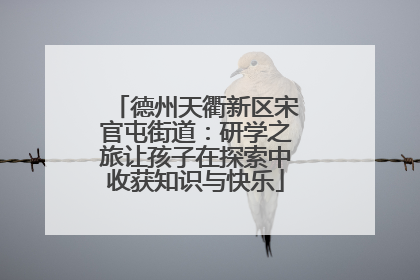 德州天衢新区宋官屯街道：研学之旅让孩子在探索中收获知识与快乐