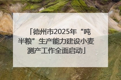 德州市2025年“吨半粮”生产能力建设小麦测产工作全面启动