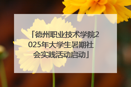 德州职业技术学院2025年大学生暑期社会实践活动启动