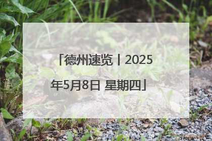 德州速览丨2025年5月8日 星期四
