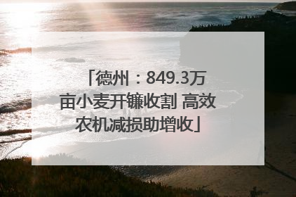 德州：849.3万亩小麦开镰收割 高效农机减损助增收