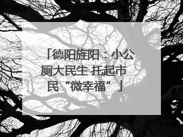 德阳旌阳：小公厕大民生 托起市民“微幸福”
