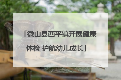 微山县西平镇开展健康体检 护航幼儿成长