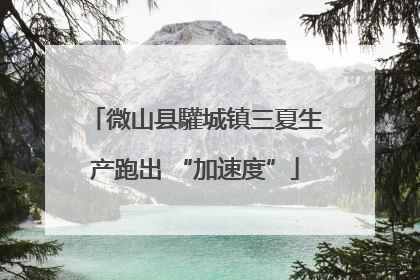 微山县驩城镇三夏生产跑出 “加速度”