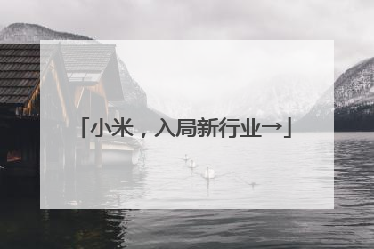 小米，入局新行业→