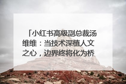 小红书高级副总裁汤维维：当技术深植人文之心，边界终将化为桥梁｜聚焦2025文化强国建设高峰论坛