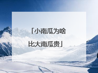 小南瓜为啥比大南瓜贵