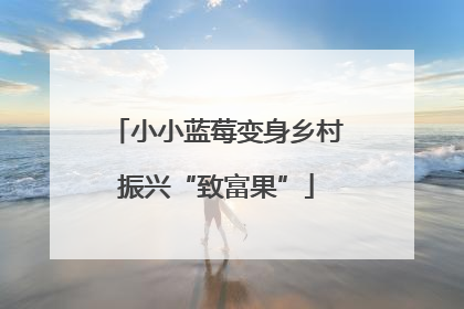 小小蓝莓变身乡村振兴“致富果”