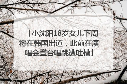 小沈阳18岁女儿下周将在韩国出道，此前在演唱会登台唱跳遭吐槽