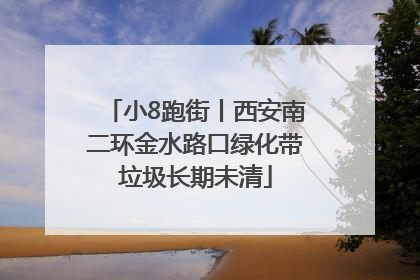 小8跑街丨西安南二环金水路口绿化带垃圾长期未清