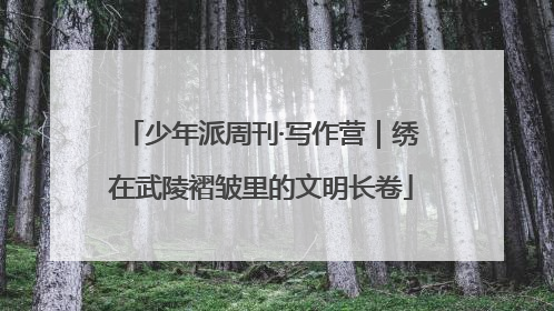 少年派周刊·写作营｜绣在武陵褶皱里的文明长卷