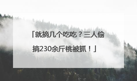 就摘几个吃吃？三人偷摘230余斤桃被抓！