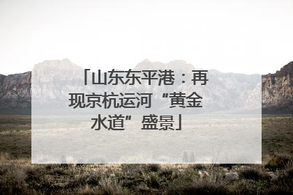 山东东平港：再现京杭运河“黄金水道”盛景