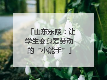 山东乐陵：让学生变身爱劳动的“小能手”