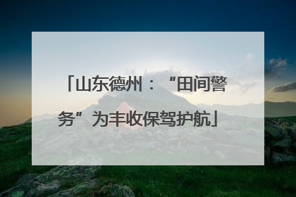 山东德州：“田间警务”为丰收保驾护航