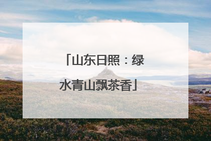 山东日照：绿水青山飘茶香