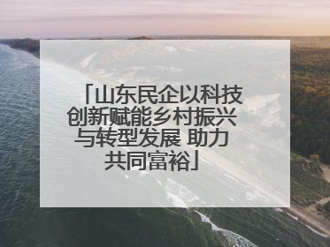 山东民企以科技创新赋能乡村振兴与转型发展 助力共同富裕