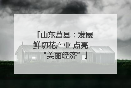山东莒县：发展鲜切花产业 点亮“美丽经济”