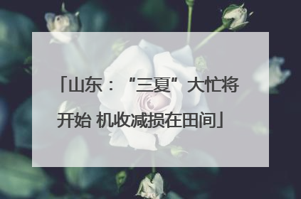 山东：“三夏”大忙将开始 机收减损在田间