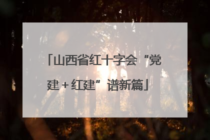 山西省红十字会“党建＋红建”谱新篇
