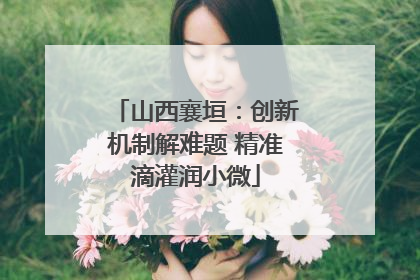 山西襄垣：创新机制解难题 精准滴灌润小微