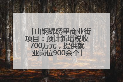 山钢锦绣里商业街项目：预计新增税收700万元，提供就业岗位900余个