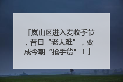 岚山区进入麦收季节，昔日“老大难”，变成今朝“抢手货”！