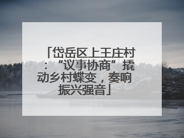岱岳区上王庄村：“议事协商”撬动乡村蝶变，奏响振兴强音