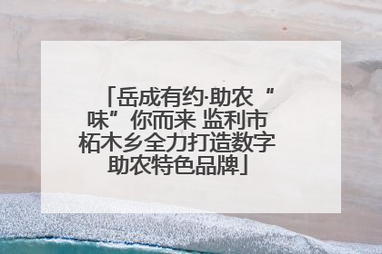 岳成有约·助农“味”你而来 监利市柘木乡全力打造数字助农特色品牌