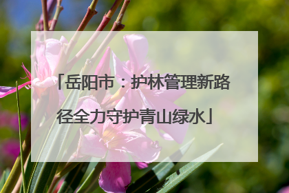 岳阳市：护林管理新路径全力守护青山绿水