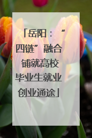 岳阳：“四链”融合 铺就高校毕业生就业创业通途