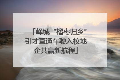 峄城“榴枣归乡”引才直通车驶入校地企共赢新航程