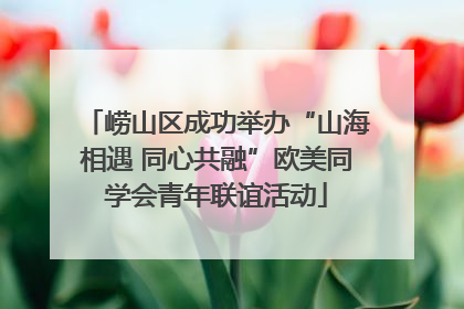崂山区成功举办“山海相遇 同心共融”欧美同学会青年联谊活动