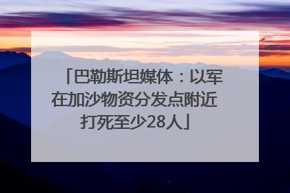 巴勒斯坦媒体：以军在加沙物资分发点附近打死至少28人