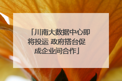 川南大数据中心即将投运 政府搭台促成企业间合作