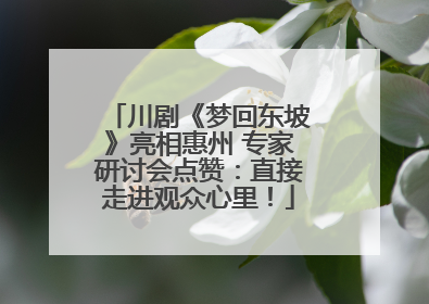 川剧《梦回东坡》亮相惠州 专家研讨会点赞：直接走进观众心里！
