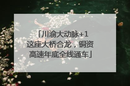 川渝大动脉+1 这座大桥合龙，铜资高速年底全线通车