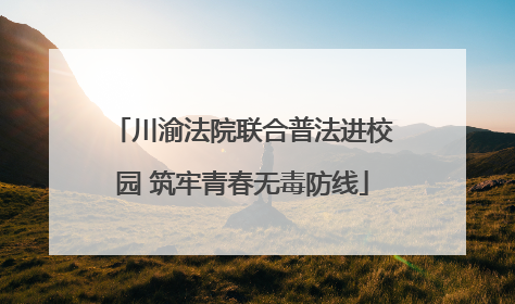 川渝法院联合普法进校园 筑牢青春无毒防线