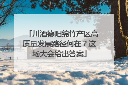 川酒德阳绵竹产区高质量发展路径何在？这场大会给出答案